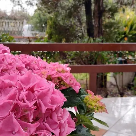 Teresa Σπίτι διακοπών Flumini di Quartu