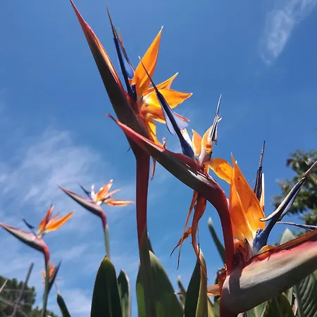 Σπίτι διακοπών Teresa